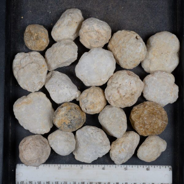 Mexican Geode Nodules