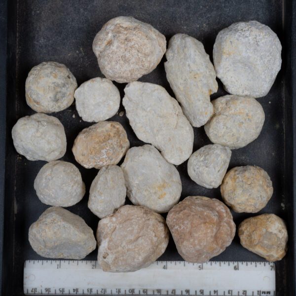 Mexican Geode Nodules