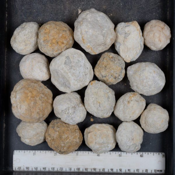 Mexican Geode Nodules