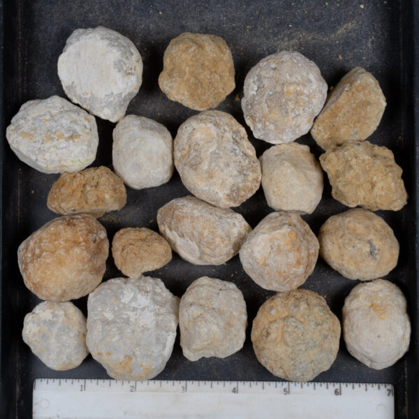 Mexican Geode Nodules