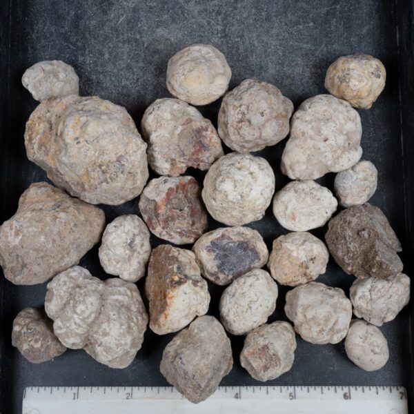Mexican Red Hot Agate (Berrendo) Nodules