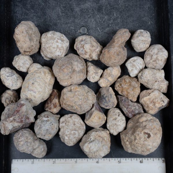 Mexican Red Hot Agate (Berrendo) Nodules