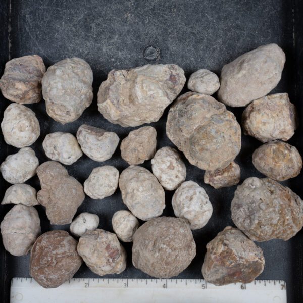 Mexican Red Hot Agate (Berrendo) Nodules