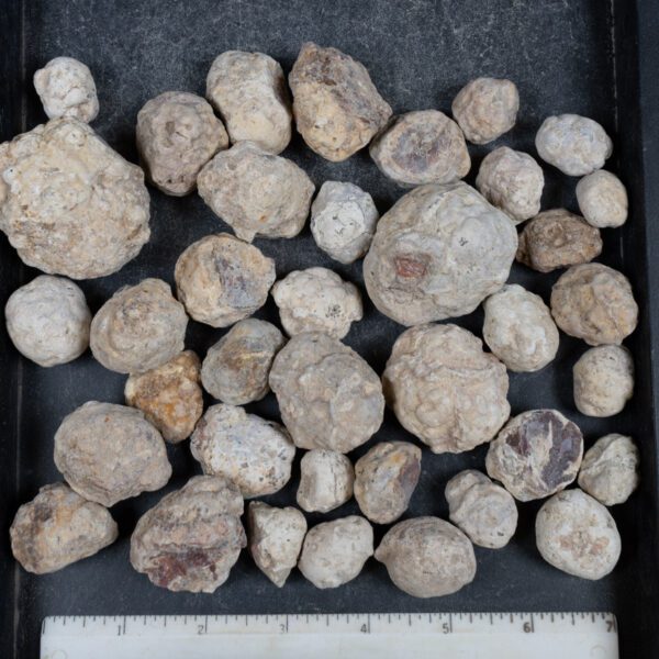 Mexican Red Hot Agate (Berrendo) Nodules