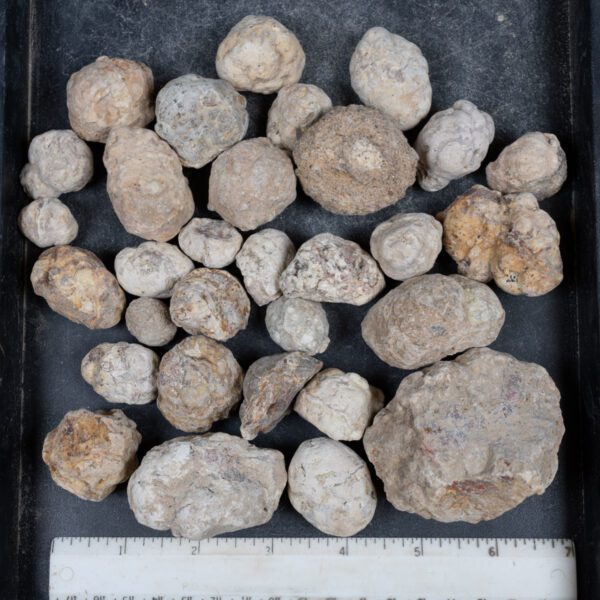 Mexican Red Hot Agate (Berrendo) Nodules