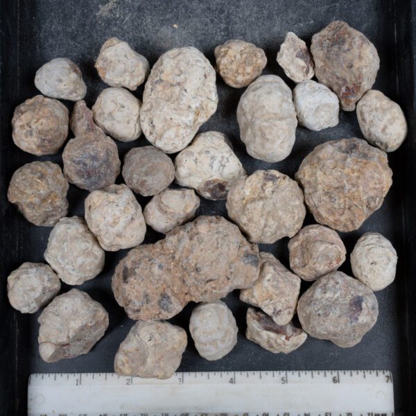 Mexican Red Hot Agate (Berrendo) Nodules