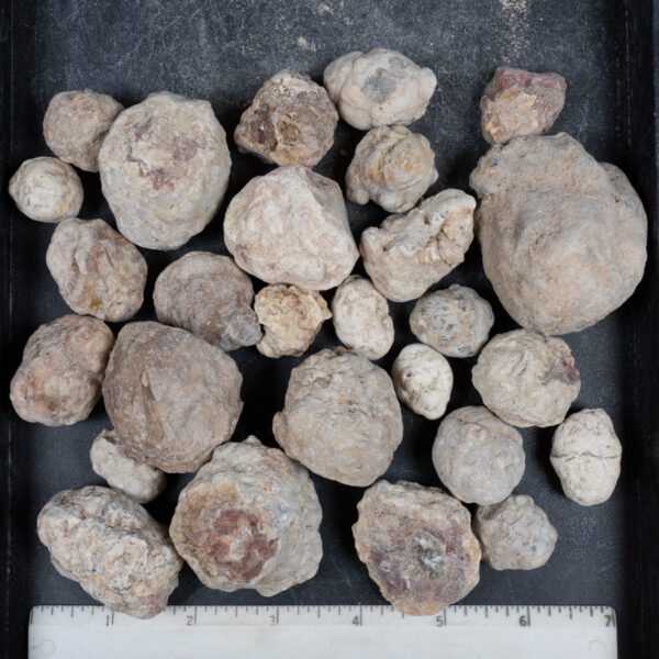 Mexican Red Hot Agate (Berrendo) Nodules
