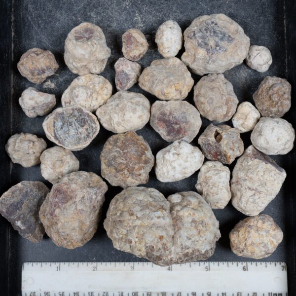 Mexican Red Hot Agate (Berrendo) Nodules