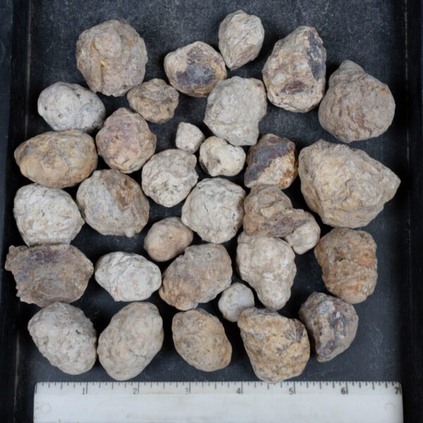 Mexican Red Hot Agate (Berrendo) Nodules