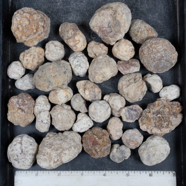 Mexican Red Hot Agate (Berrendo) Nodules