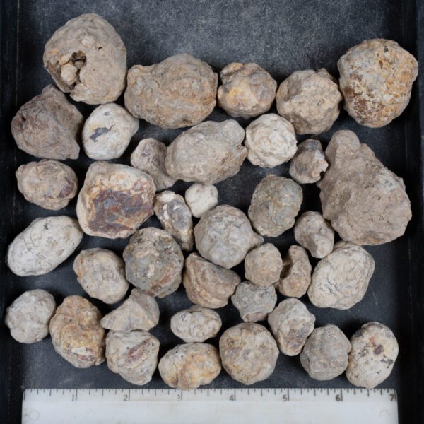 Mexican Red Hot Agate (Berrendo) Nodules