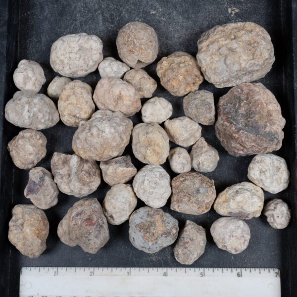 Mexican Red Hot Agate (Berrendo) Nodules