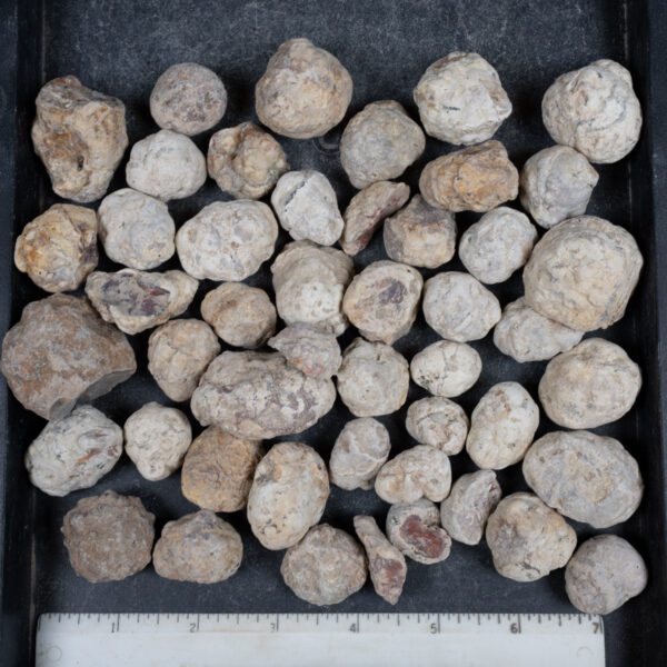 Mexican Red Hot Agate (Berrendo) Nodules