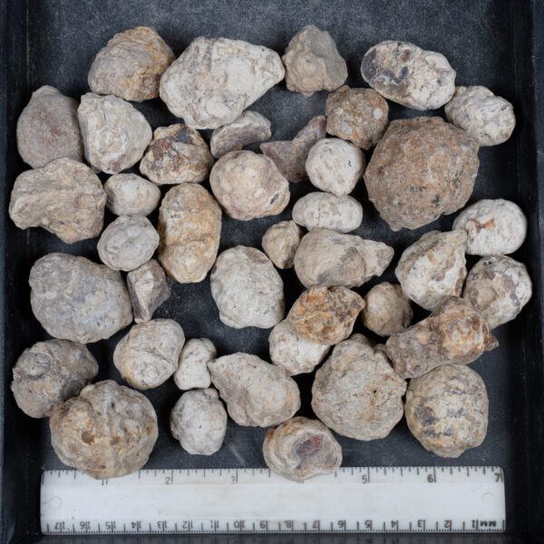 Mexican Red Hot Agate (Berrendo) Nodules