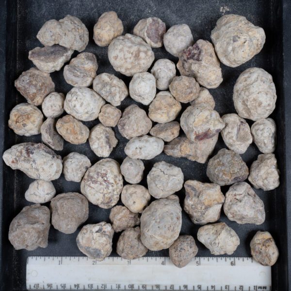 Mexican Red Hot Agate (Berrendo) Nodules