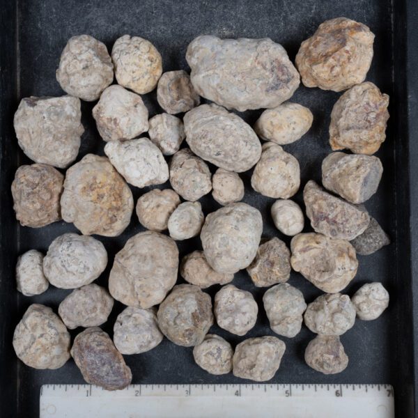 Mexican Red Hot Agate (Berrendo) Nodules