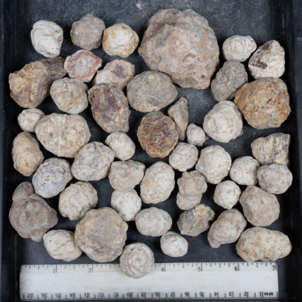 Mexican Red Hot Agate (Berrendo) Nodules