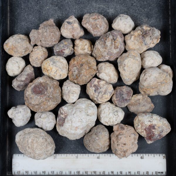 Mexican Red Hot Agate (Berrendo) Nodules