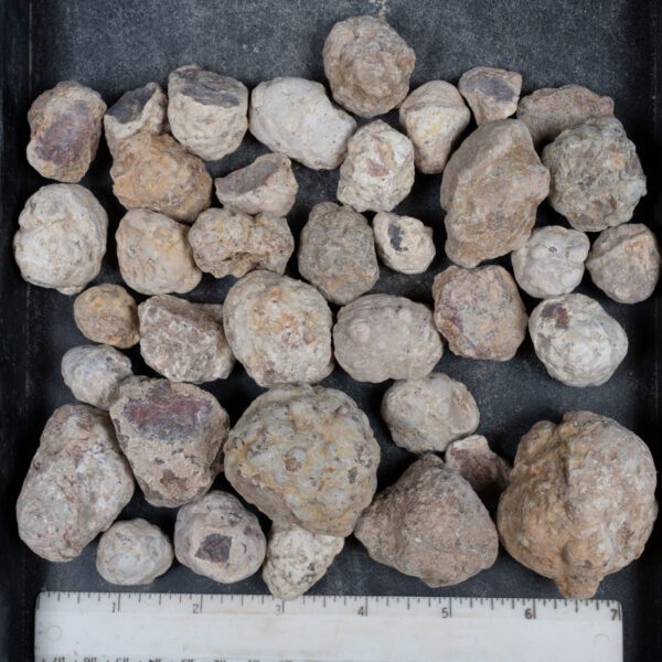 Mexican Red Hot Agate (Berrendo) Nodules
