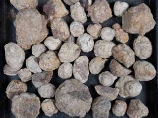 Mexican Red Hot Agate (Berrendo) Nodules