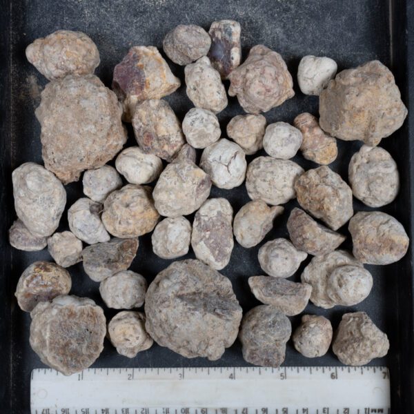 Mexican Red Hot Agate (Berrendo) Nodules