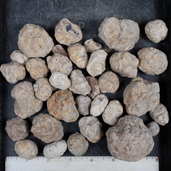 Mexican Red Hot Agate (Berrendo) Nodules