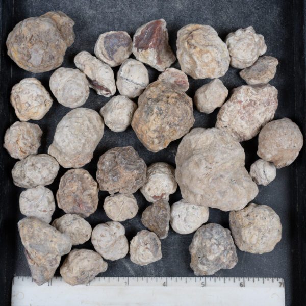 Mexican Red Hot Agate (Berrendo) Nodules