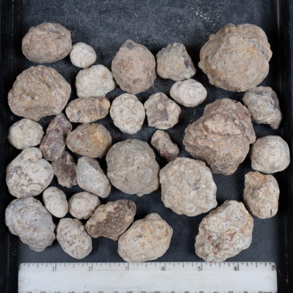 Mexican Red Hot Agate (Berrendo) Nodules