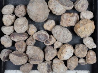 Mexican Red Hot Agate (Berrendo) Nodules