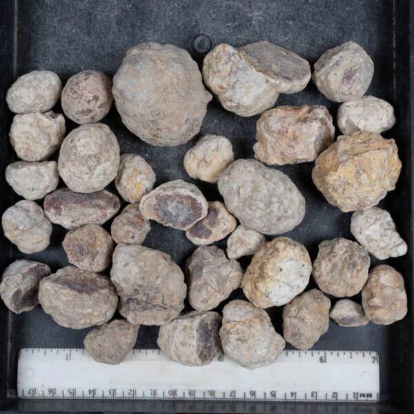 Mexican Red Hot Agate (Berrendo) Nodules