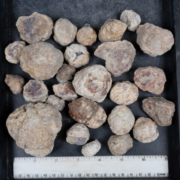 Mexican Red Hot Agate (Berrendo) Nodules