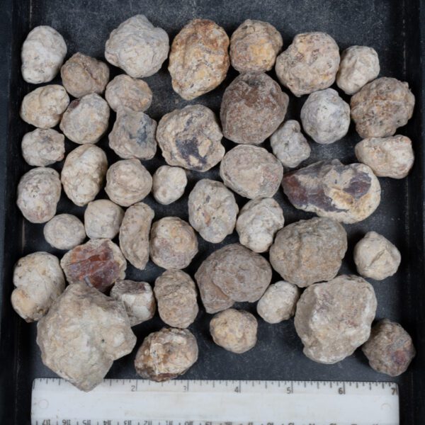 Mexican Red Hot Agate (Berrendo) Nodules