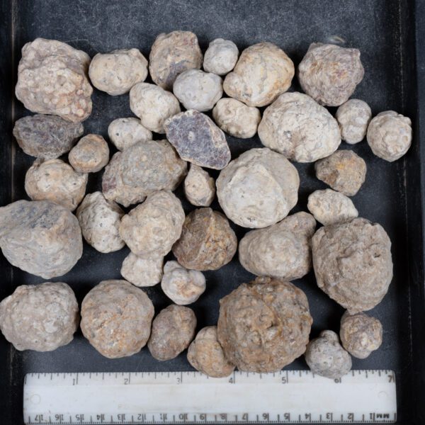 Mexican Red Hot Agate (Berrendo) Nodules
