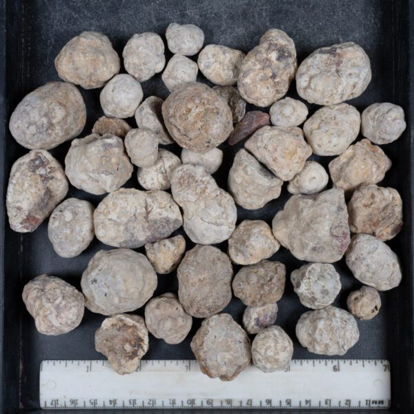Mexican Red Hot Agate (Berrendo) Nodules