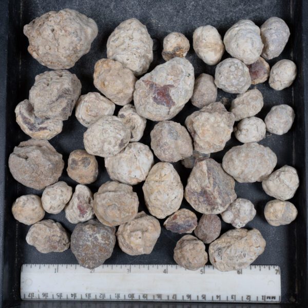 Mexican Red Hot Agate (Berrendo) Nodules