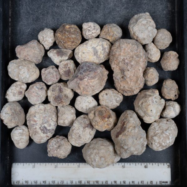 Mexican Red Hot Agate (Berrendo) Nodules