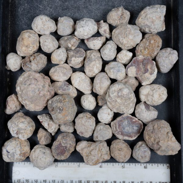 Mexican Red Hot Agate (Berrendo) Nodules