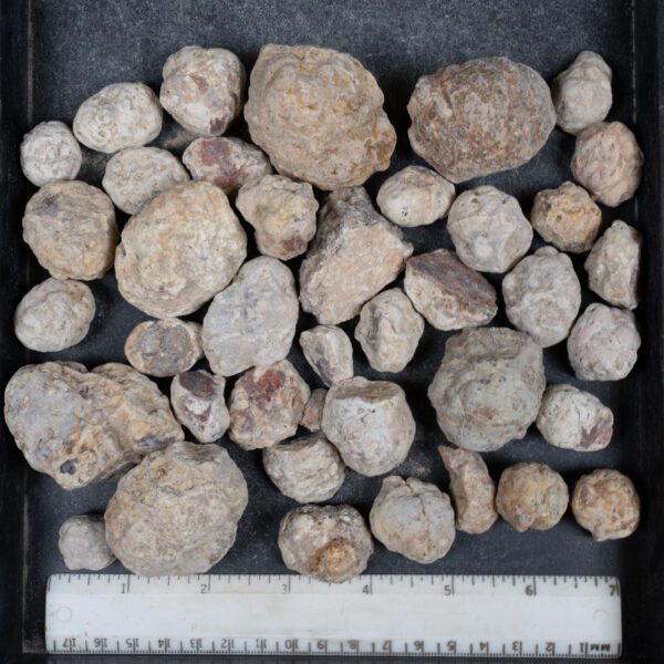 Mexican Red Hot Agate (Berrendo) Nodules