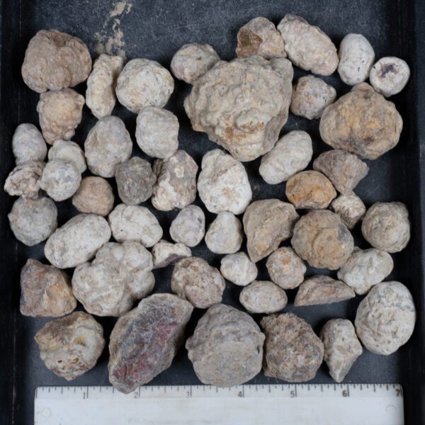 Mexican Red Hot Agate (Berrendo) Nodules