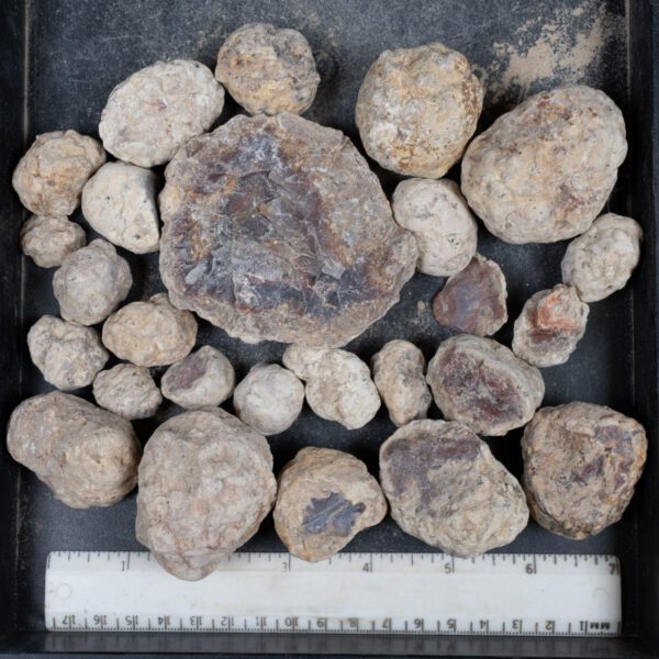 Mexican Red Hot Agate (Berrendo) Nodules
