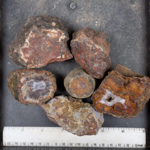 Moroccan Agate Nodules