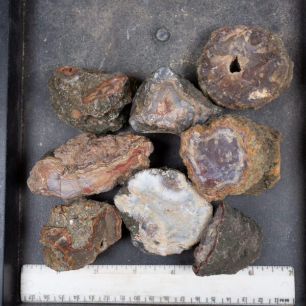 Moroccan Agate Nodules