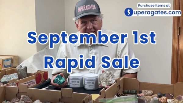 Rapid Sale - September 1st