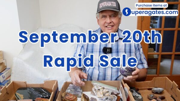 Rapid Sale - September 20th