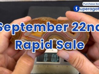 Rapid Sale - September 22nd