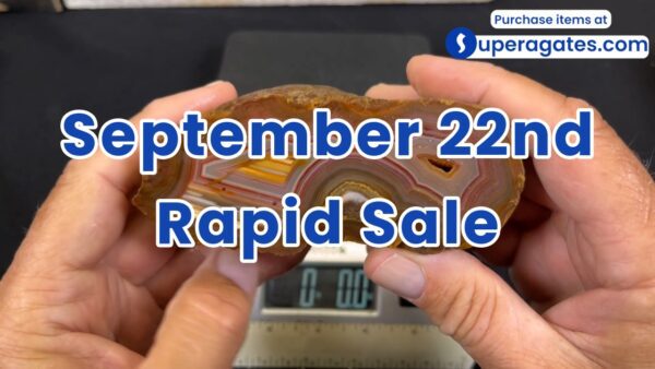 Rapid Sale - September 22nd