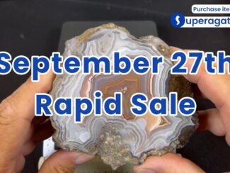 Rapid Sale - September 27th