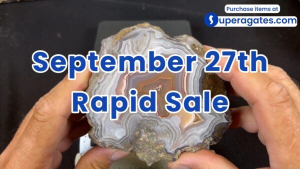 Rapid Sale - September 27th