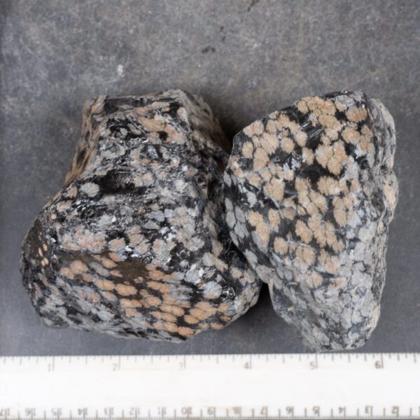 Snowflake Obsidian Rough