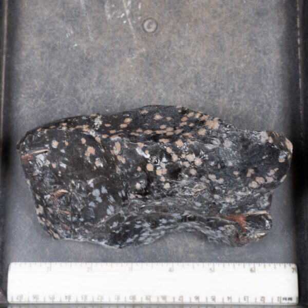 Snowflake Obsidian Rough